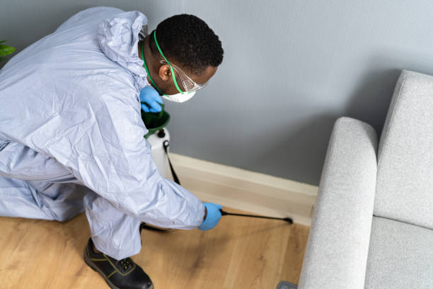 Best Bed Bug Extermination  in Spencerville, OH